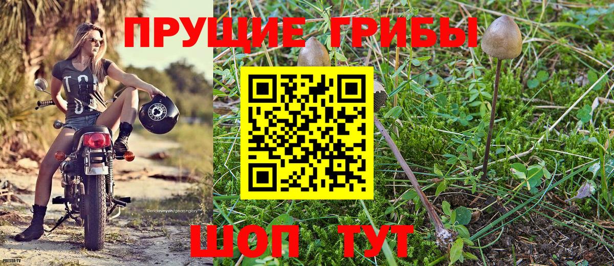 Галлюциногенные грибы прущие грибы  закладка  Верхняя Пышма  Вход с VPN 
