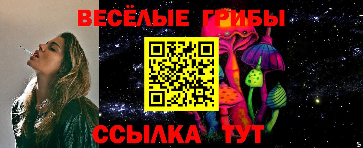 Галлюциногенные грибы Psilocybe Верхняя Пышма